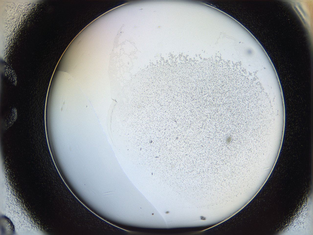 06bo_C8_ImagerDefaults_0.jpg