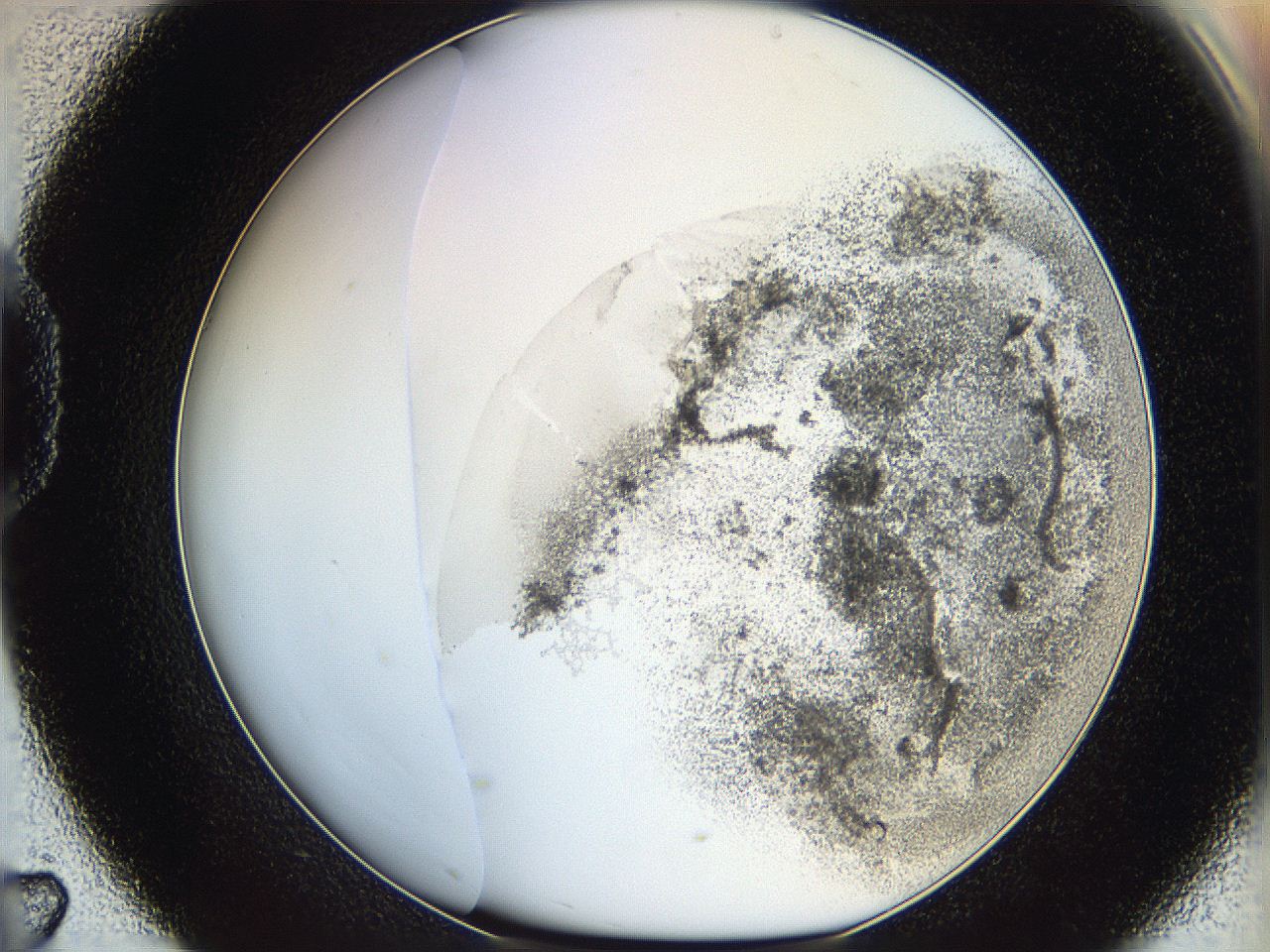 06bo_D7_ImagerDefaults_3.jpg