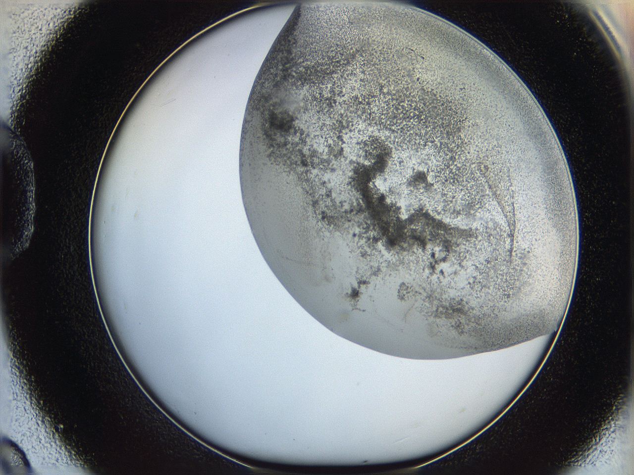 06bo_D9_ImagerDefaults_3.jpg
