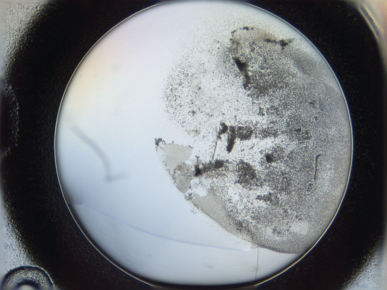 06bo_D10_ImagerDefaults_3.jpg