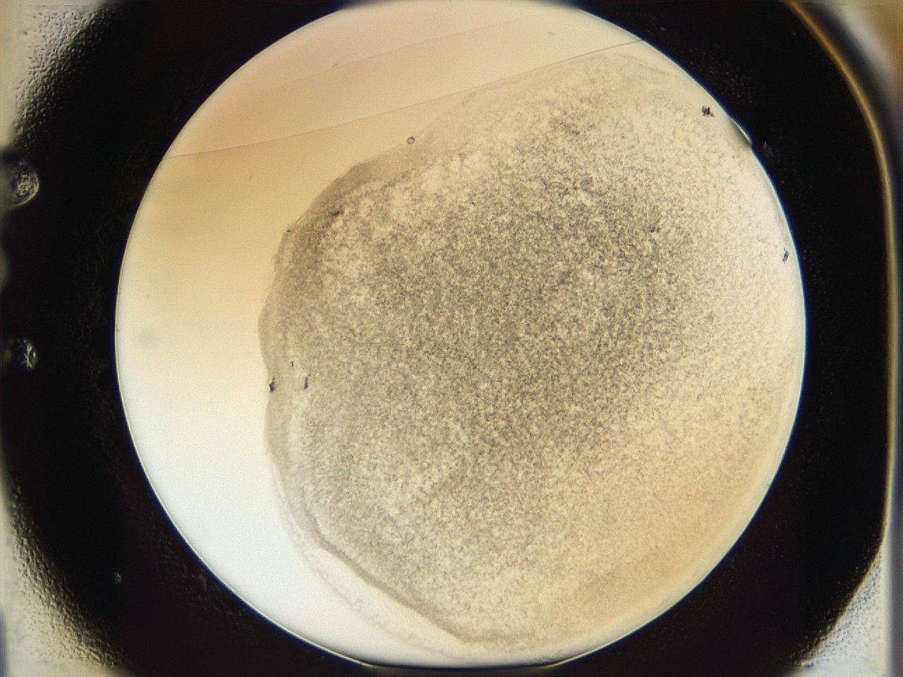 06bo_E1_ImagerDefaults_3.jpg