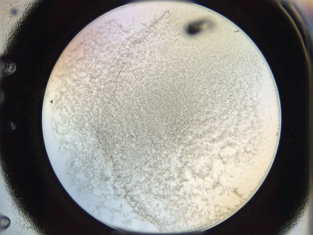 06bo_E5_ImagerDefaults_3.jpg