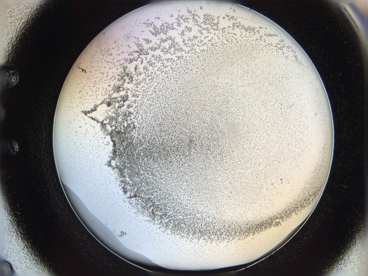 06bo_E8_ImagerDefaults_5.jpg