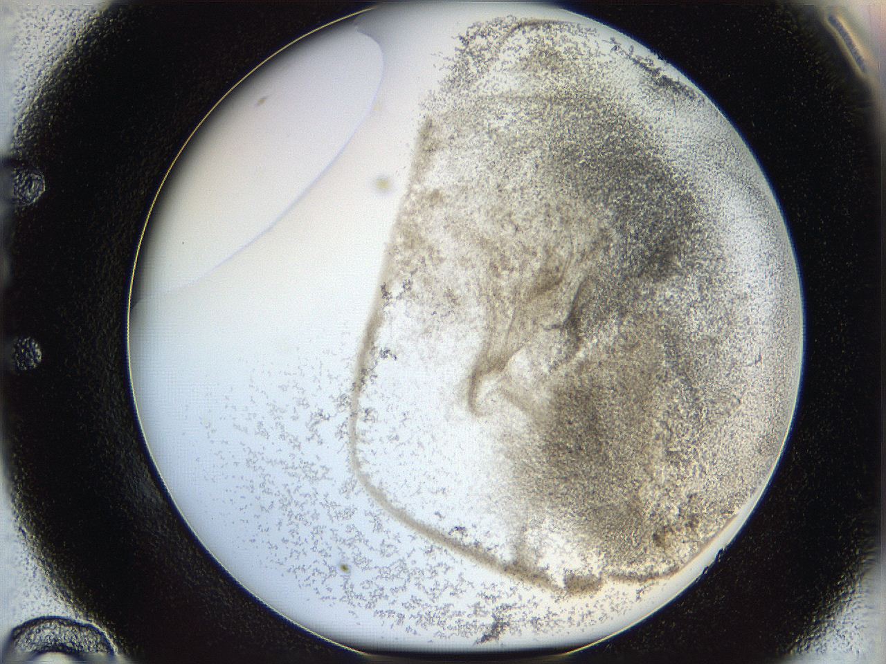 06bo_E10_ImagerDefaults_3.jpg