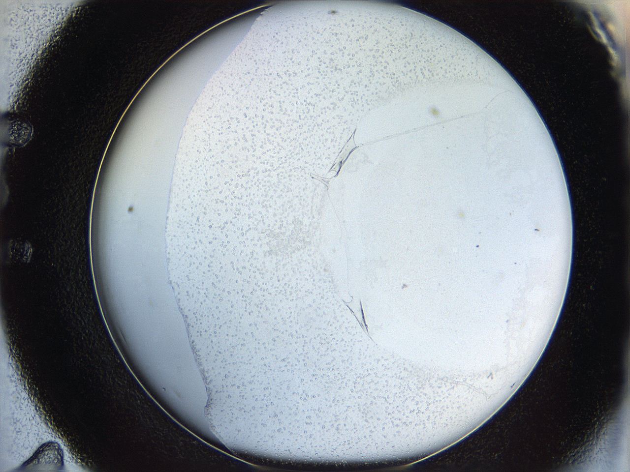 06bo_E11_ImagerDefaults_0.jpg