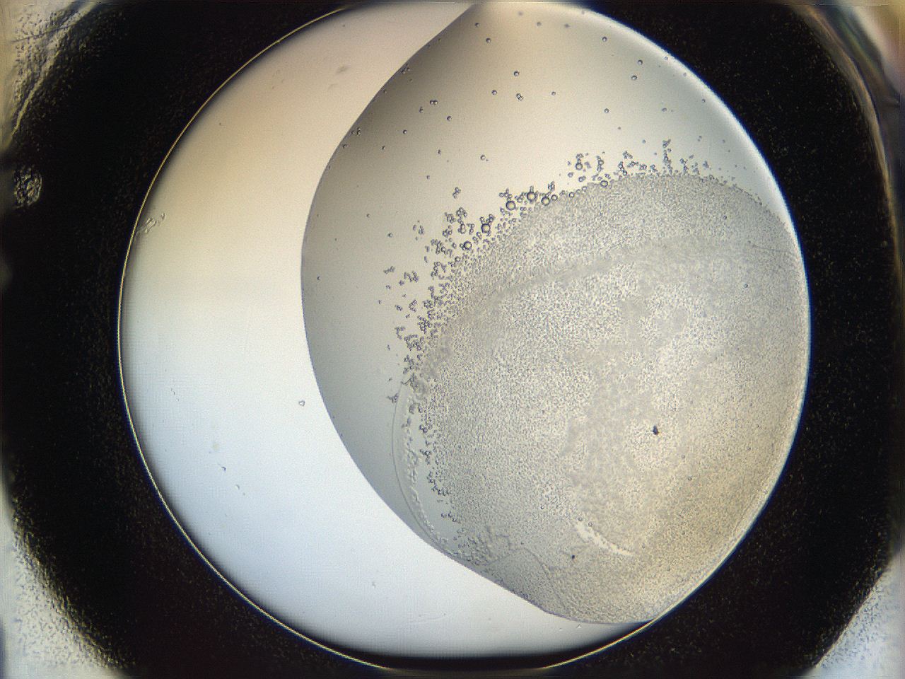 06bo_F1_ImagerDefaults_5.jpg