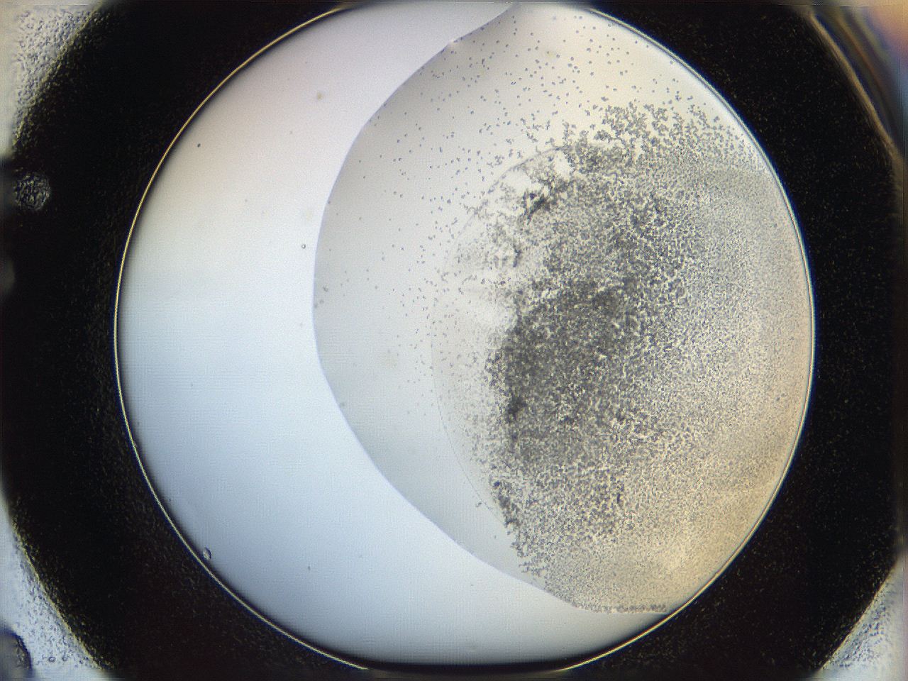 06bo_F2_ImagerDefaults_5.jpg