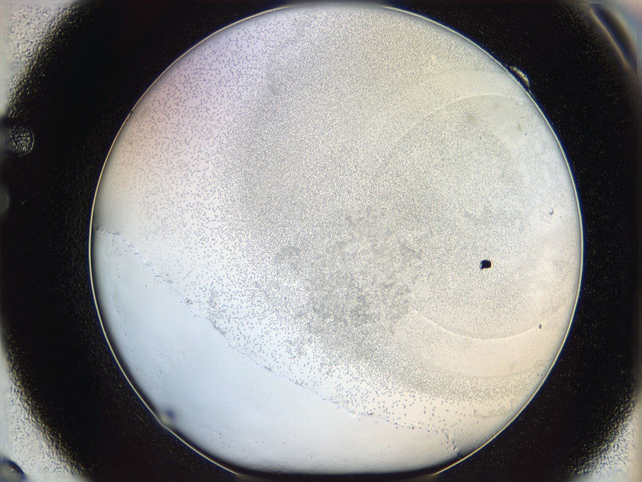 06bo_F9_ImagerDefaults_3.jpg