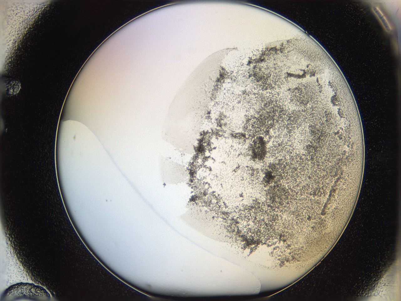 06bo_F10_ImagerDefaults_3.jpg