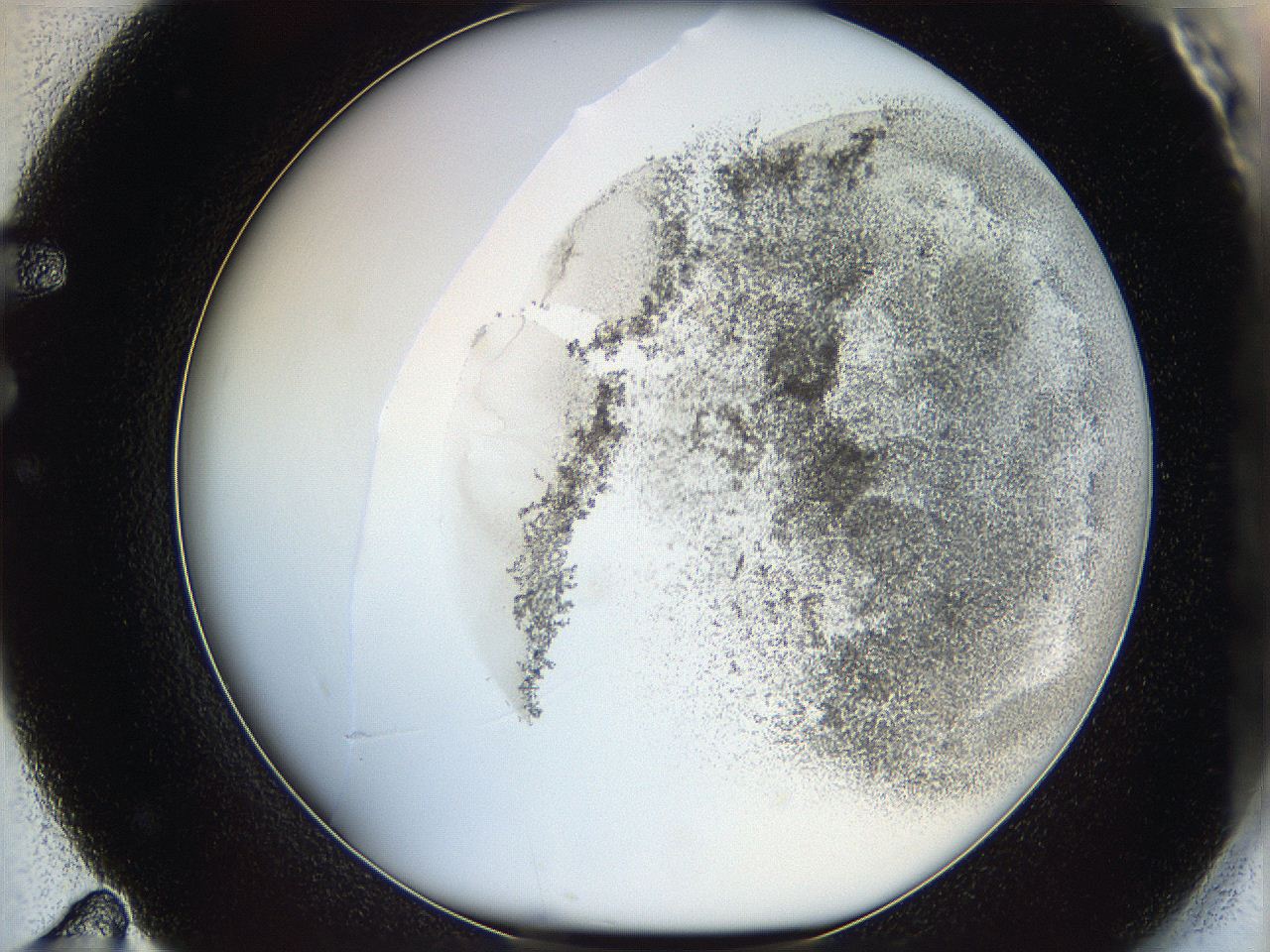 06bo_F11_ImagerDefaults_3.jpg