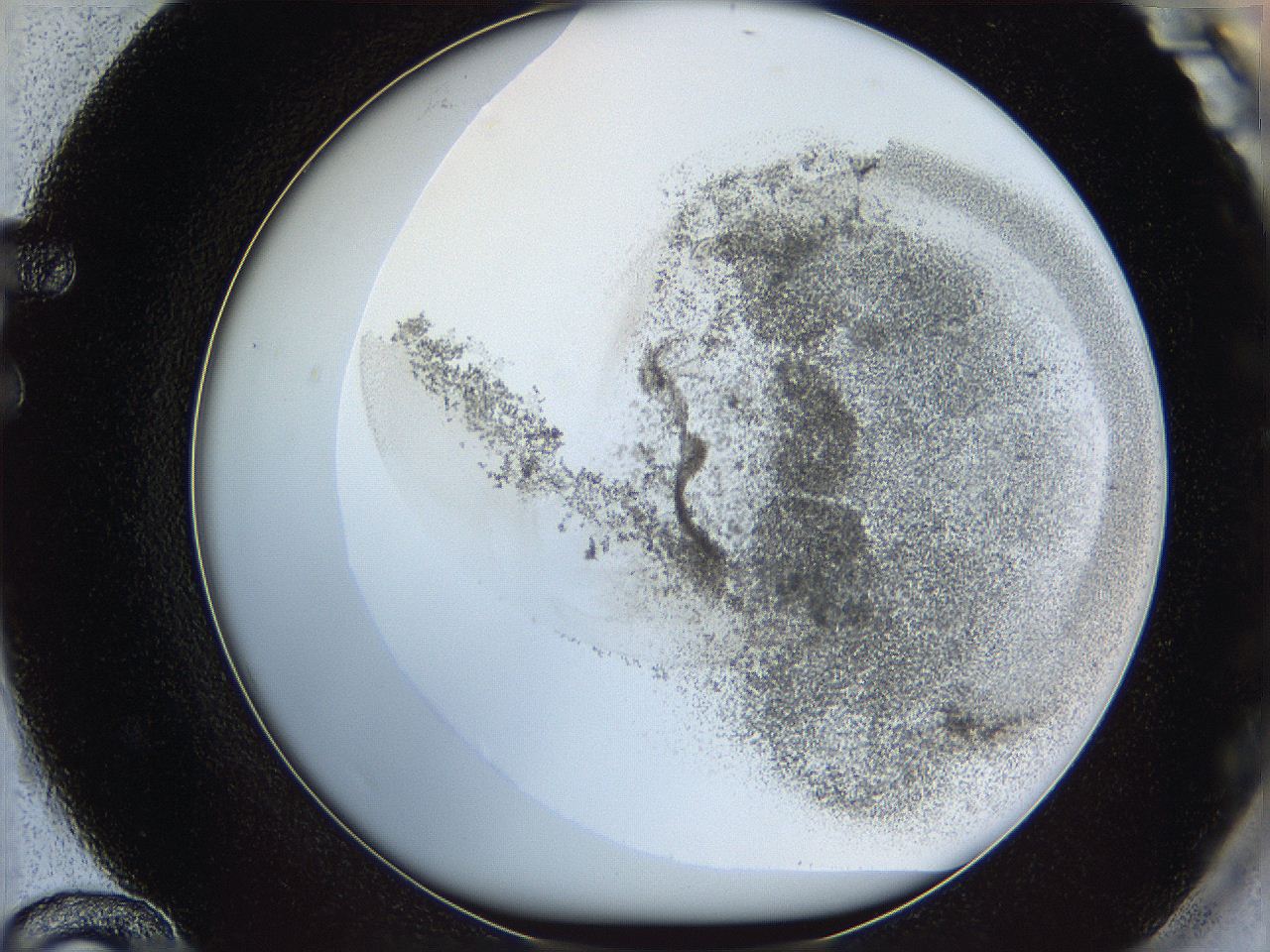 06bo_F12_ImagerDefaults_3.jpg