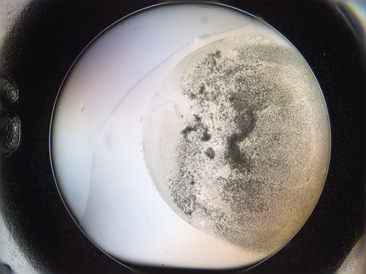 06bo_G9_ImagerDefaults_3.jpg