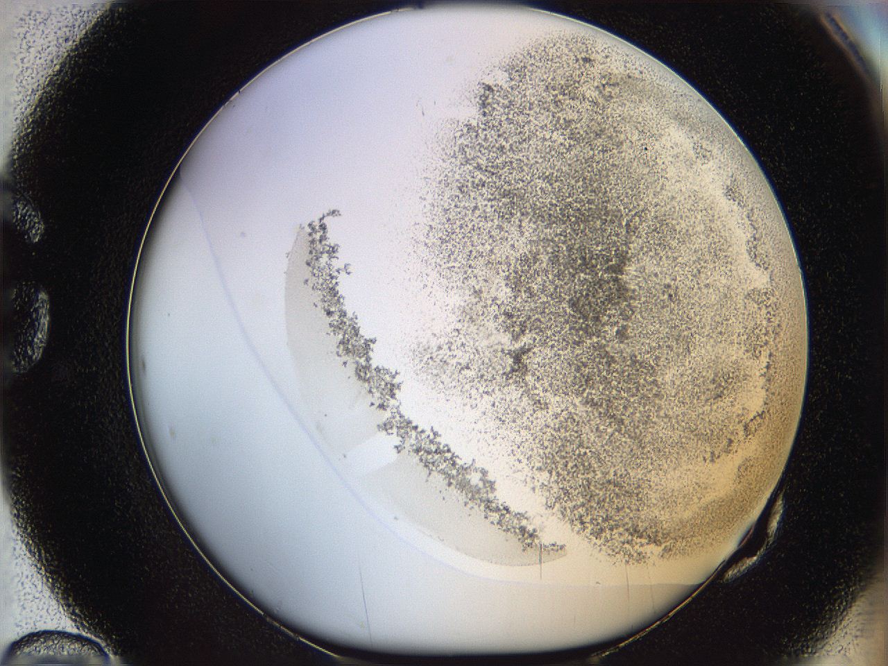 06bo_G10_ImagerDefaults_3.jpg