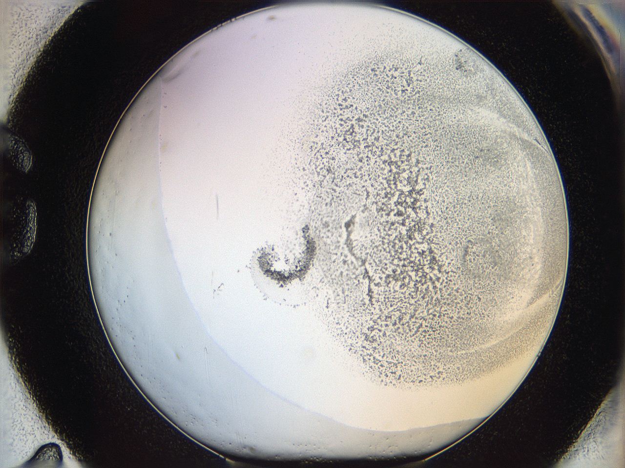 06bo_G11_ImagerDefaults_5.jpg