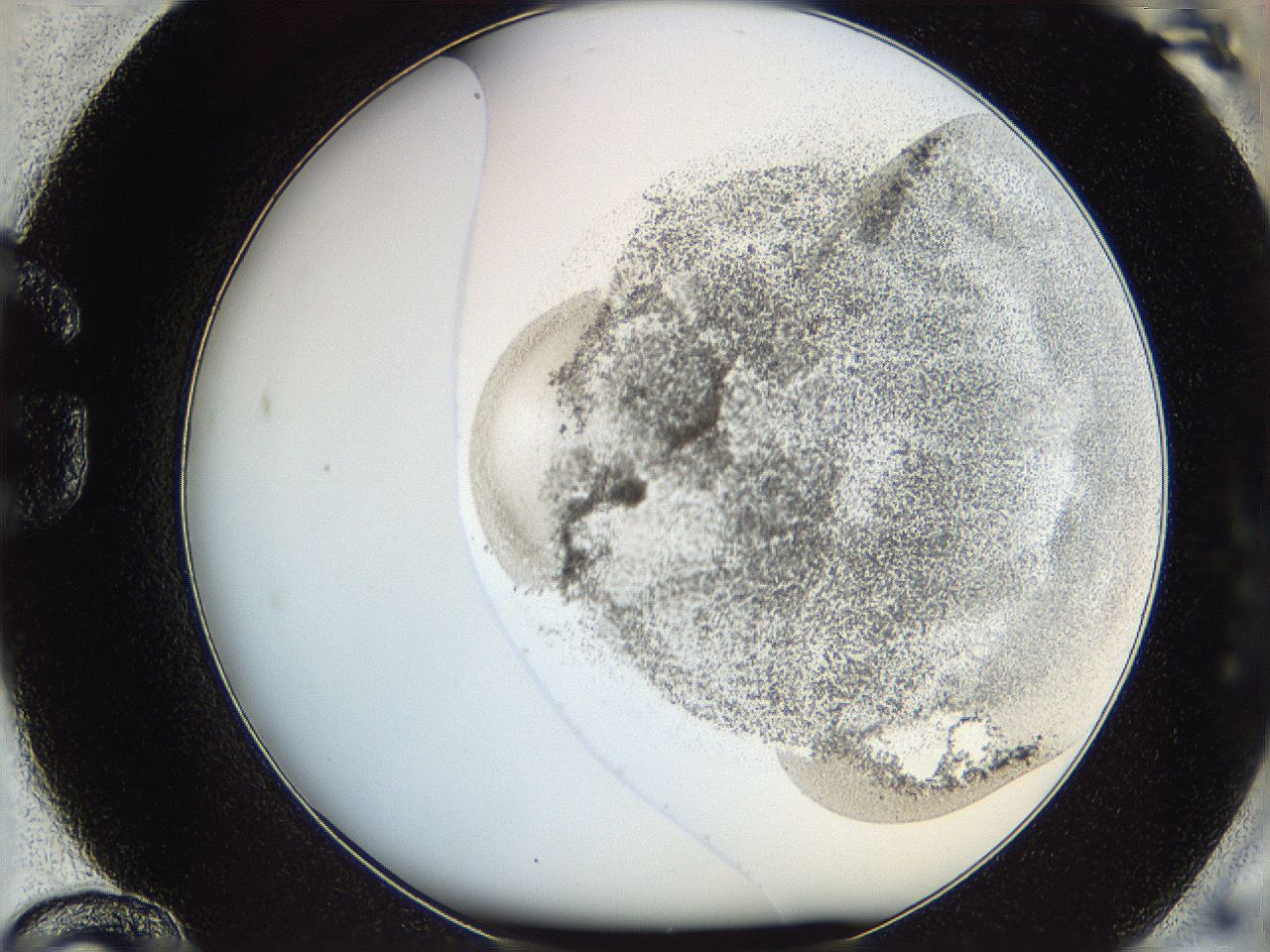 06bo_G12_ImagerDefaults_3.jpg