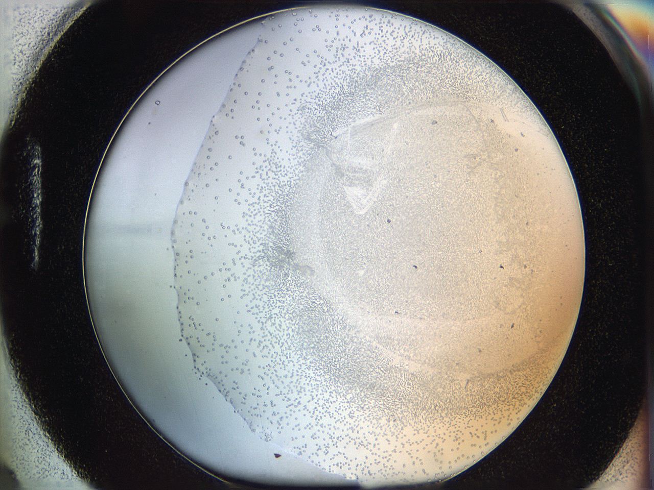 06bo_H4_ImagerDefaults_5.jpg