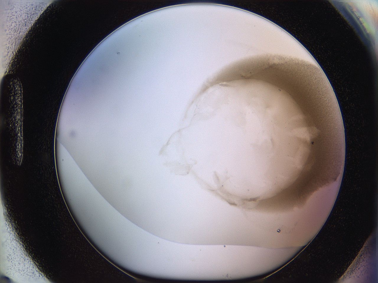06bo_H9_ImagerDefaults_3.jpg