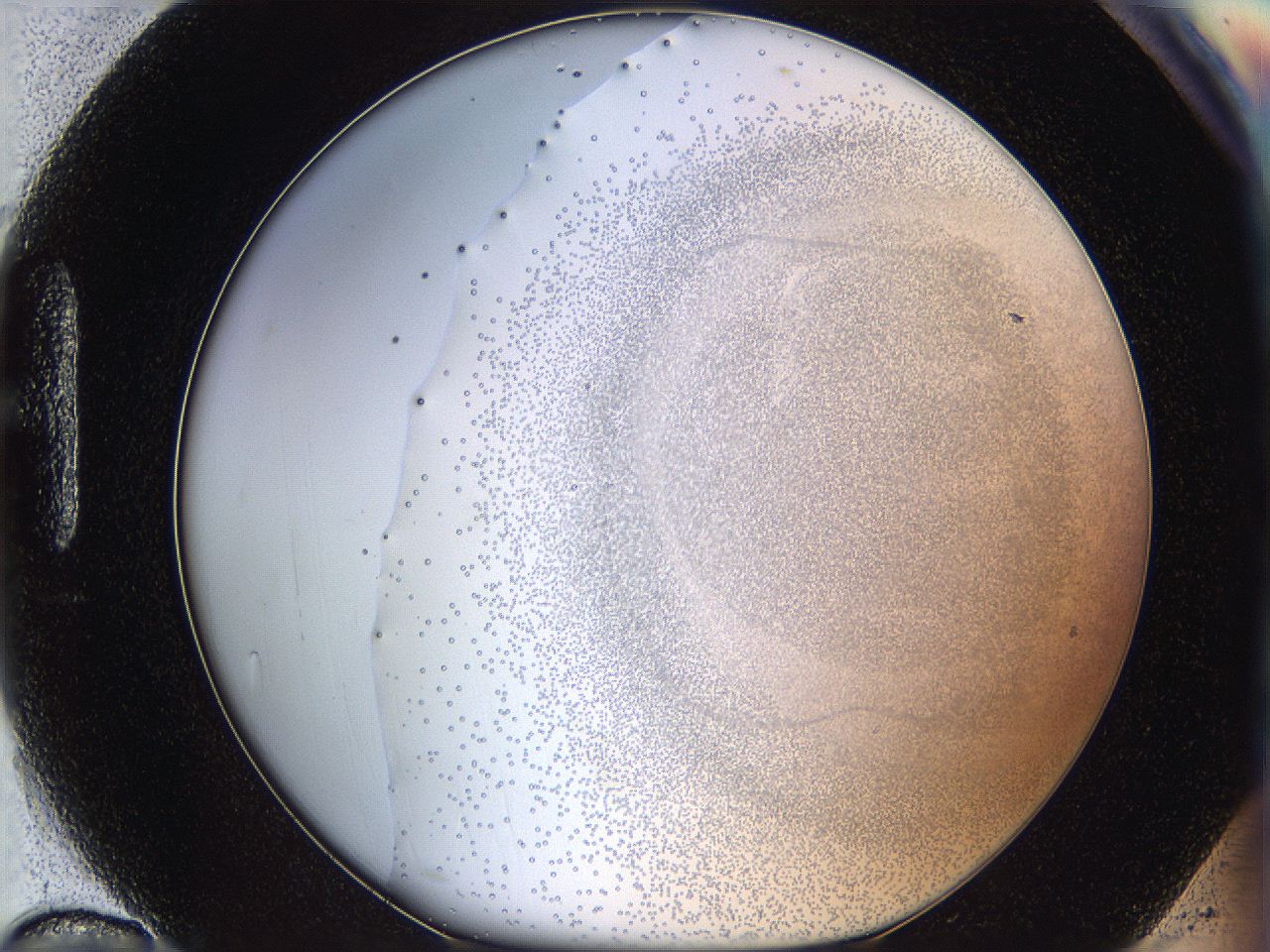 06bo_H10_ImagerDefaults_5.jpg
