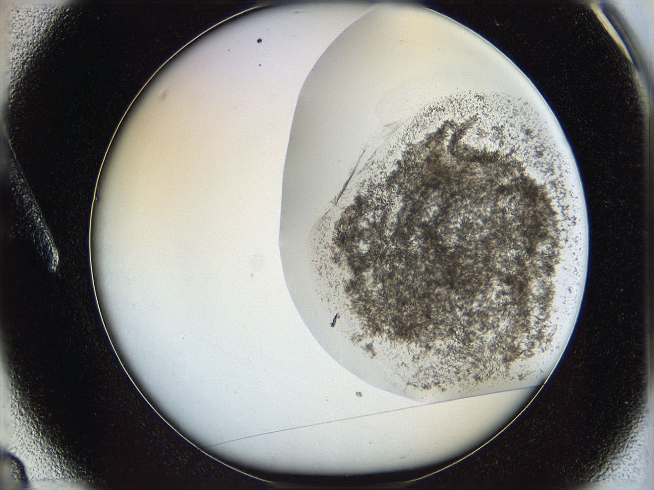 06bp_A3_ImagerDefaults_3.jpg