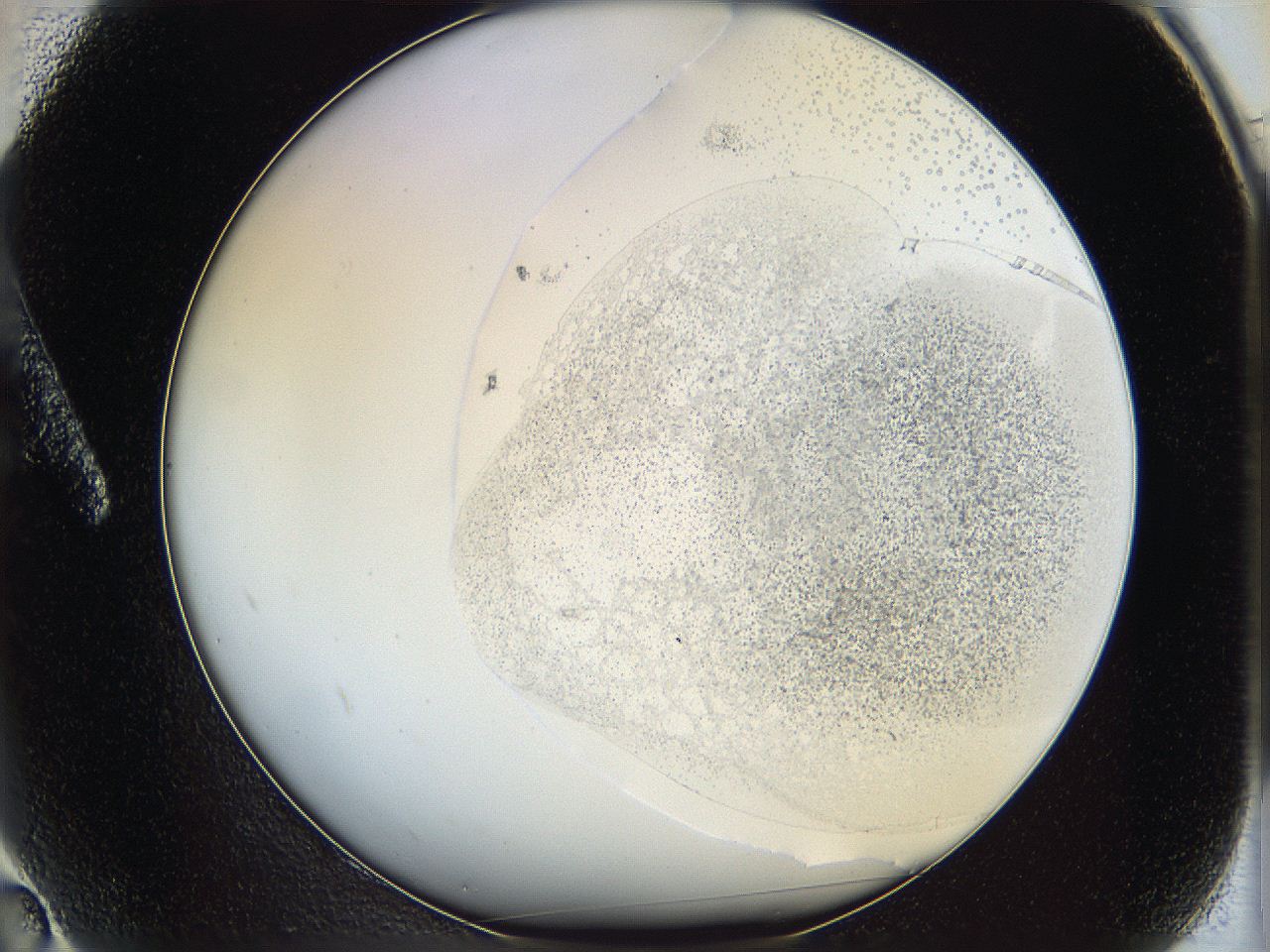 06bp_A2_ImagerDefaults_2.jpg