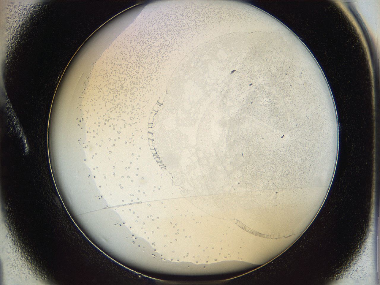 06bp_A1_ImagerDefaults_0.jpg