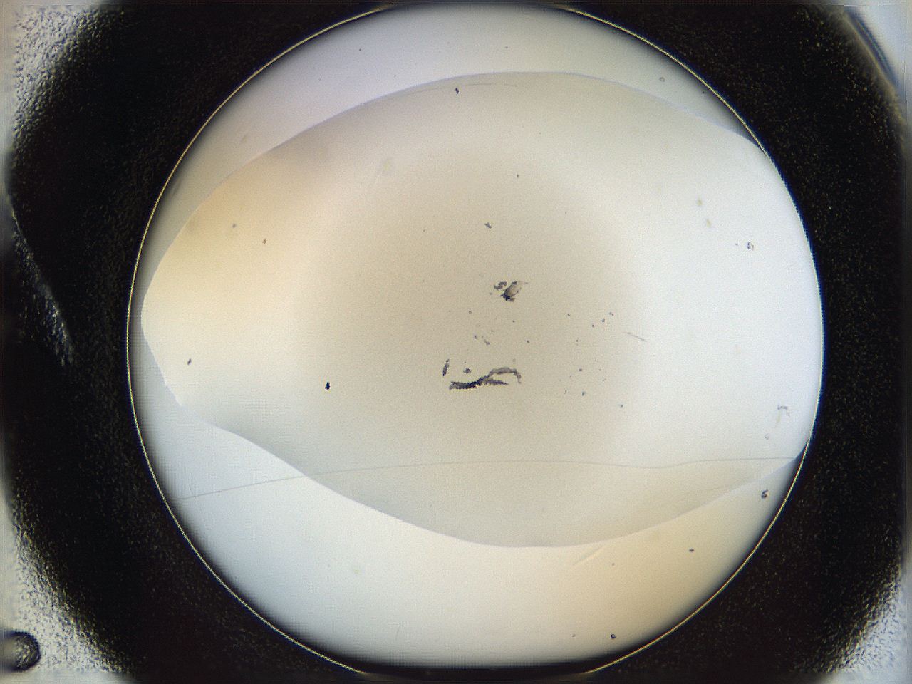 06bp_A5_ImagerDefaults_1.jpg