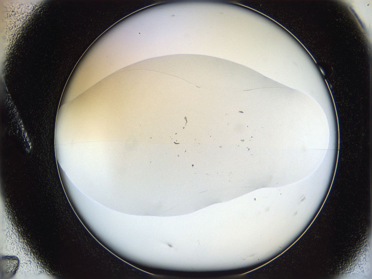 06bp_A7_ImagerDefaults_1.jpg