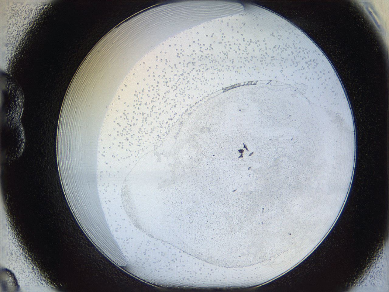 06bp_B8_ImagerDefaults_2.jpg