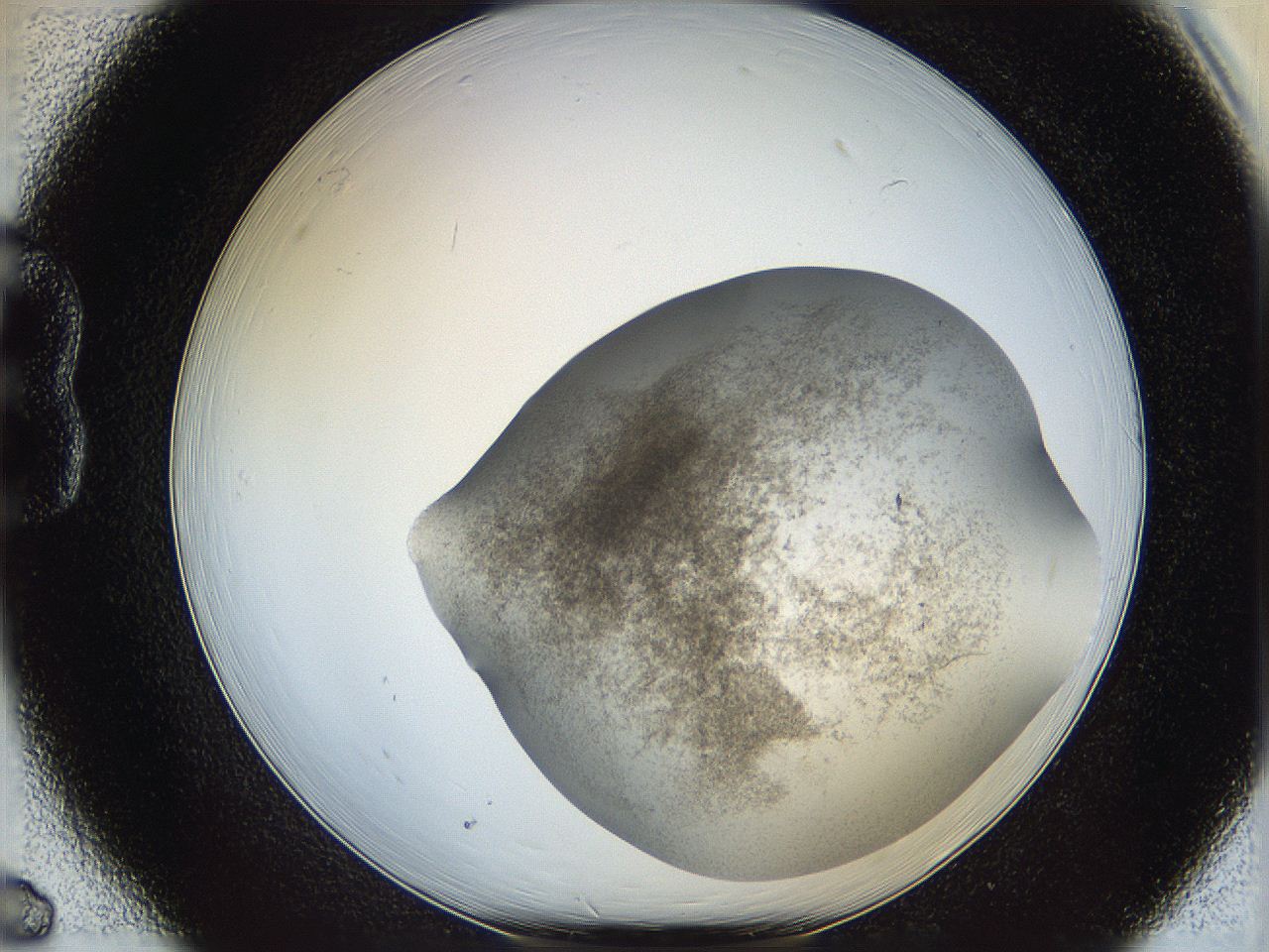 06bp_B6_ImagerDefaults_3.jpg