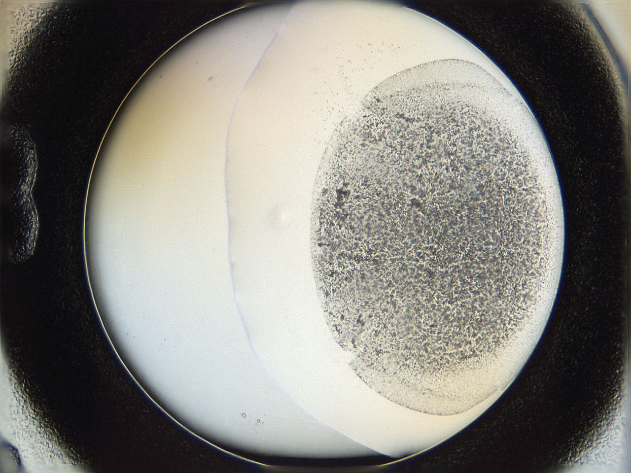 06bp_B3_ImagerDefaults_3.jpg