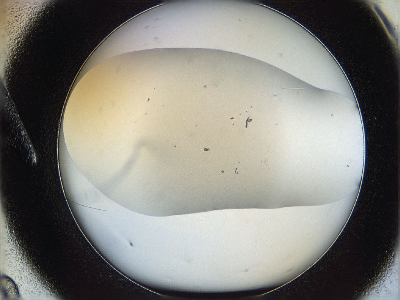 06bp_A8_ImagerDefaults_1.jpg