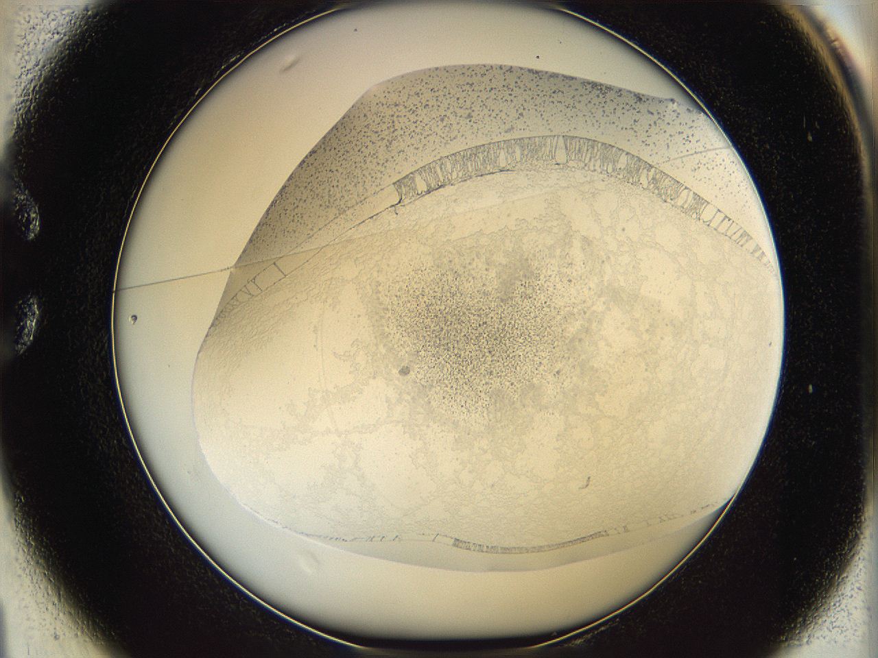 06bp_C1_ImagerDefaults_1.jpg