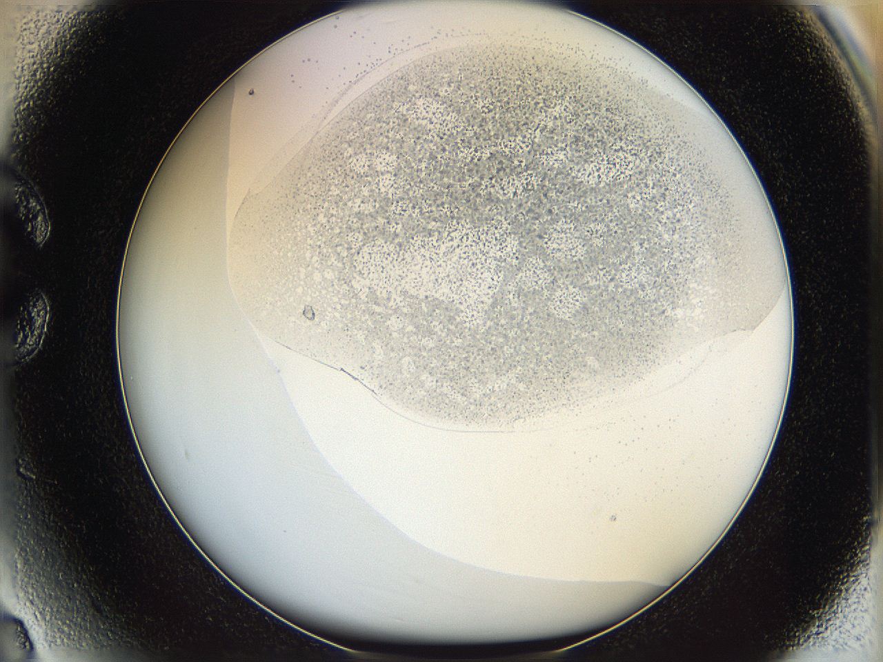 06bp_C3_ImagerDefaults_2.jpg