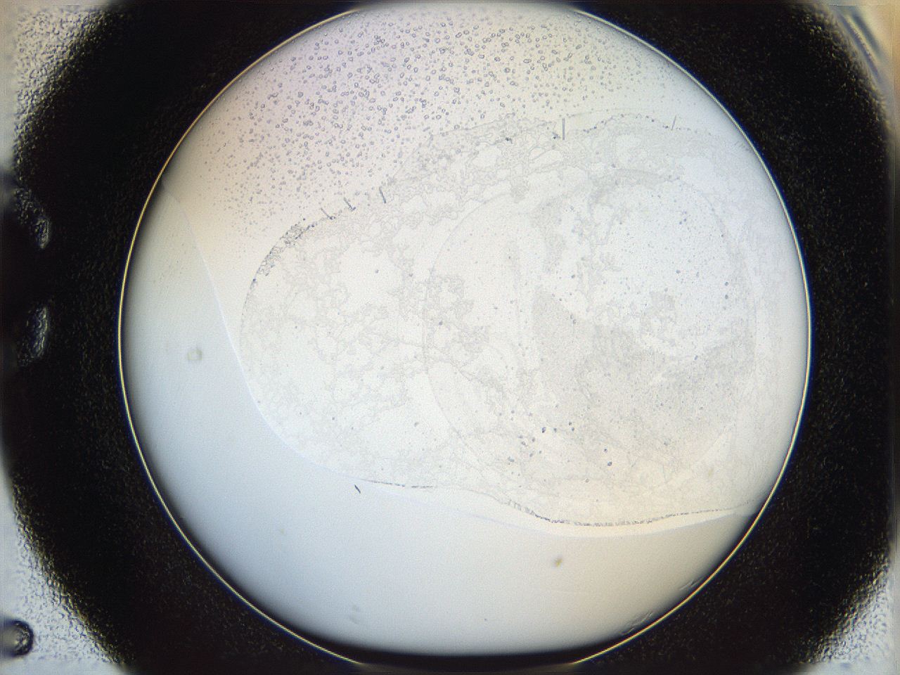 06bp_C5_ImagerDefaults_0.jpg