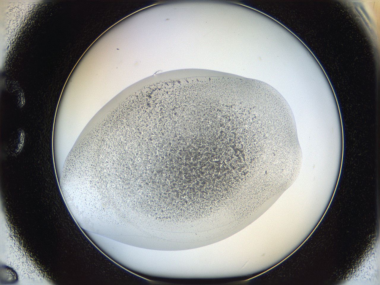 06bp_C6_ImagerDefaults_3.jpg