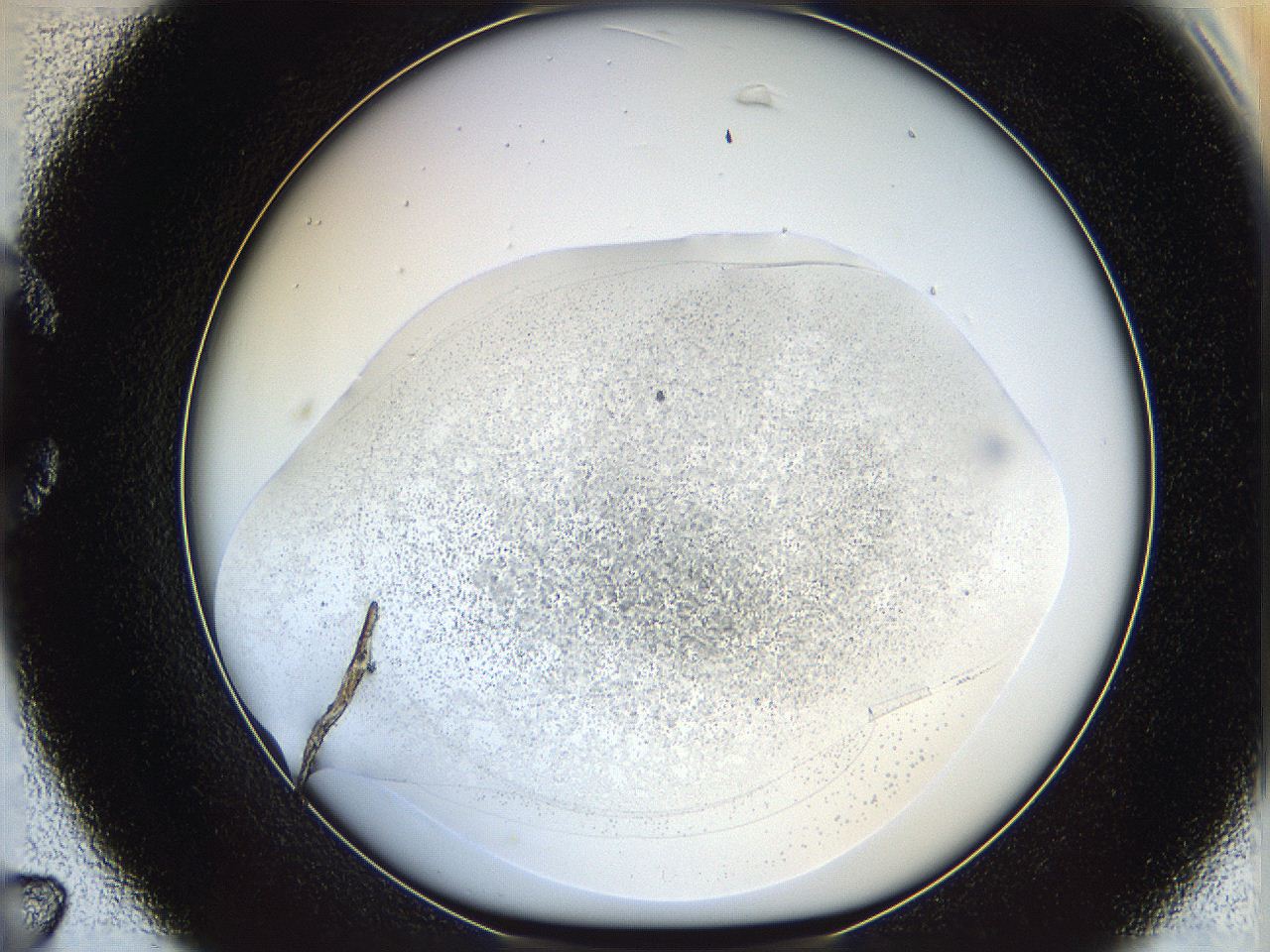 06bp_C7_ImagerDefaults_3.jpg