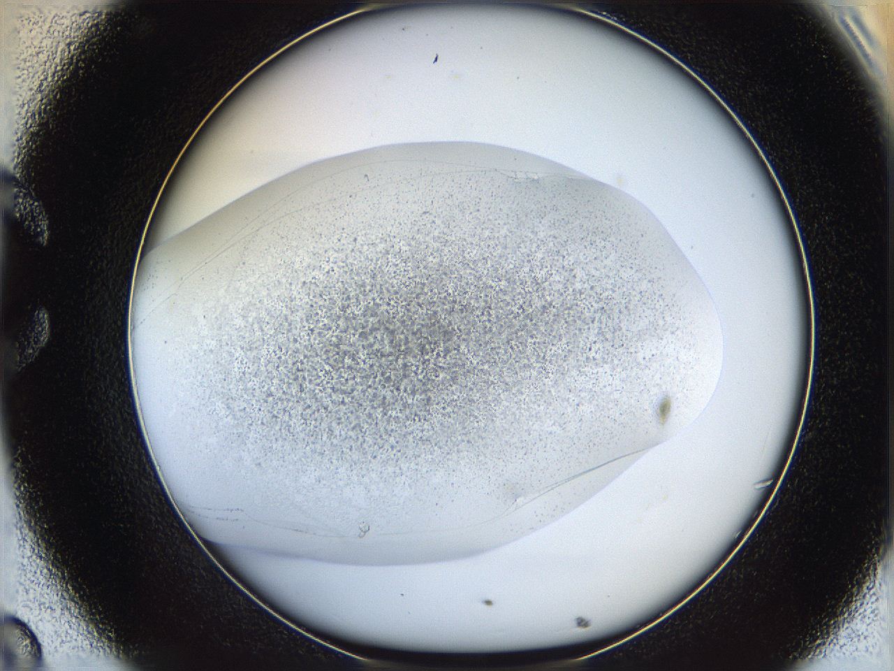 06bp_C8_ImagerDefaults_3.jpg