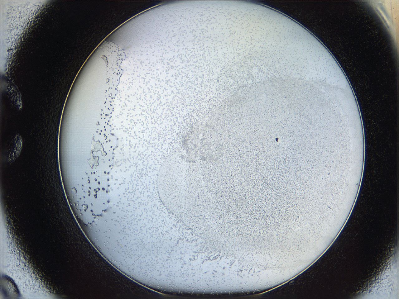 06bp_C9_ImagerDefaults_3.jpg