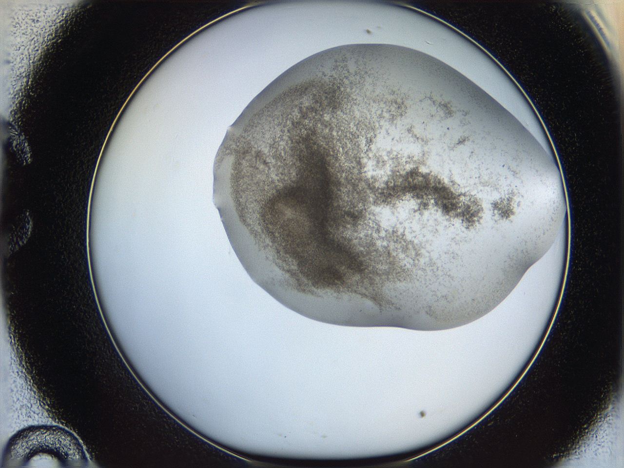 06bp_C10_ImagerDefaults_3.jpg