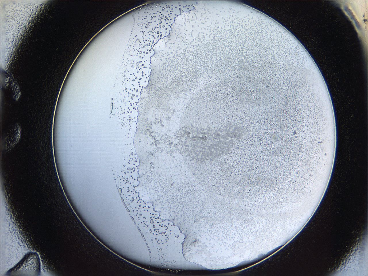 06bp_C11_ImagerDefaults_3.jpg