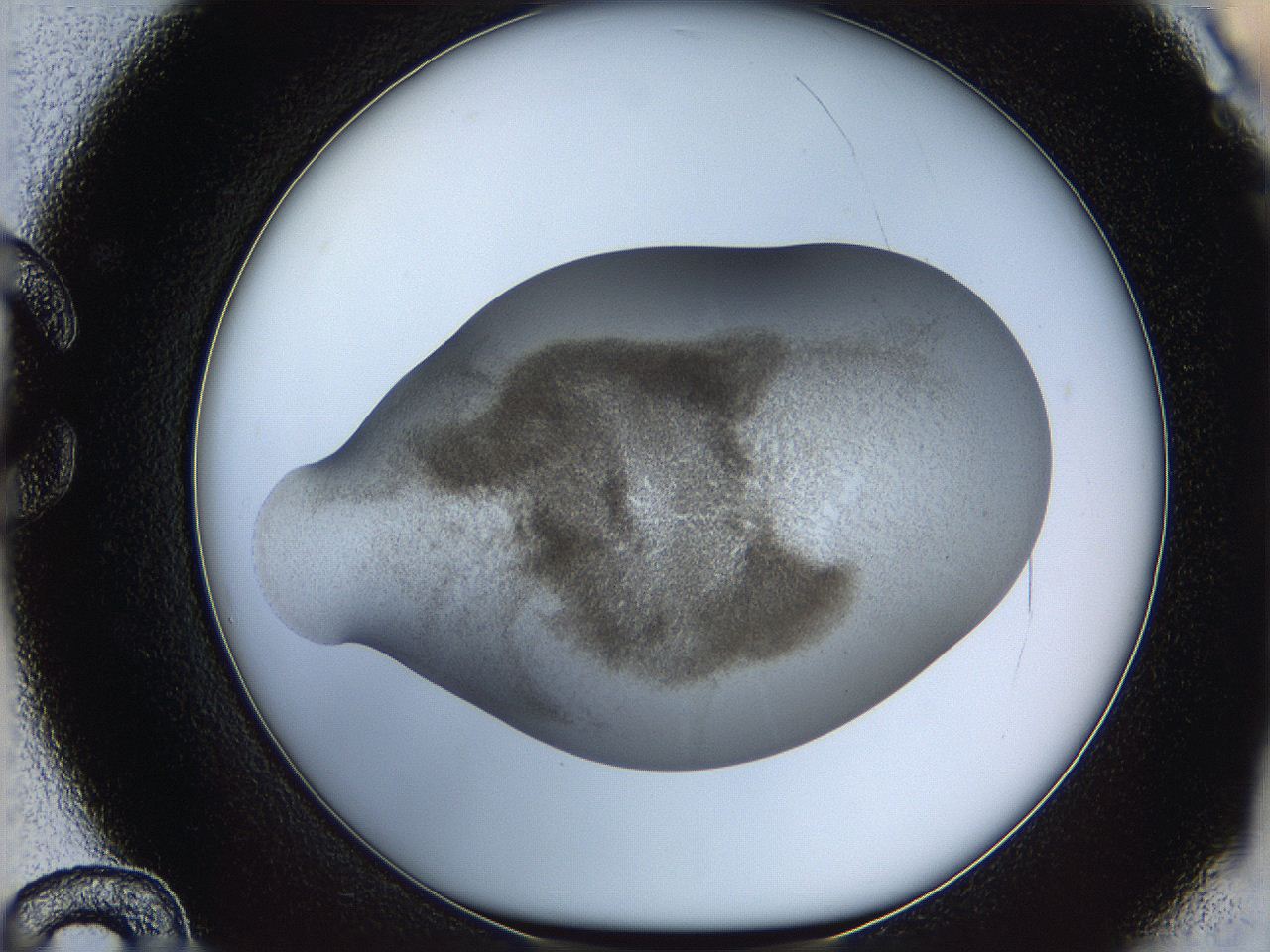 06bp_C12_ImagerDefaults_3.jpg