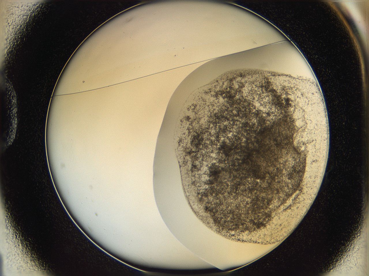 06bp_D1_ImagerDefaults_3.jpg
