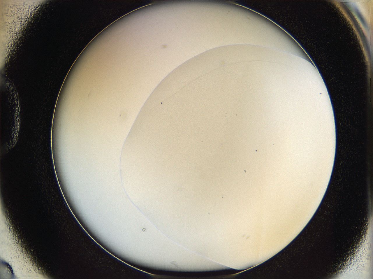 06bp_D2_ImagerDefaults_0.jpg