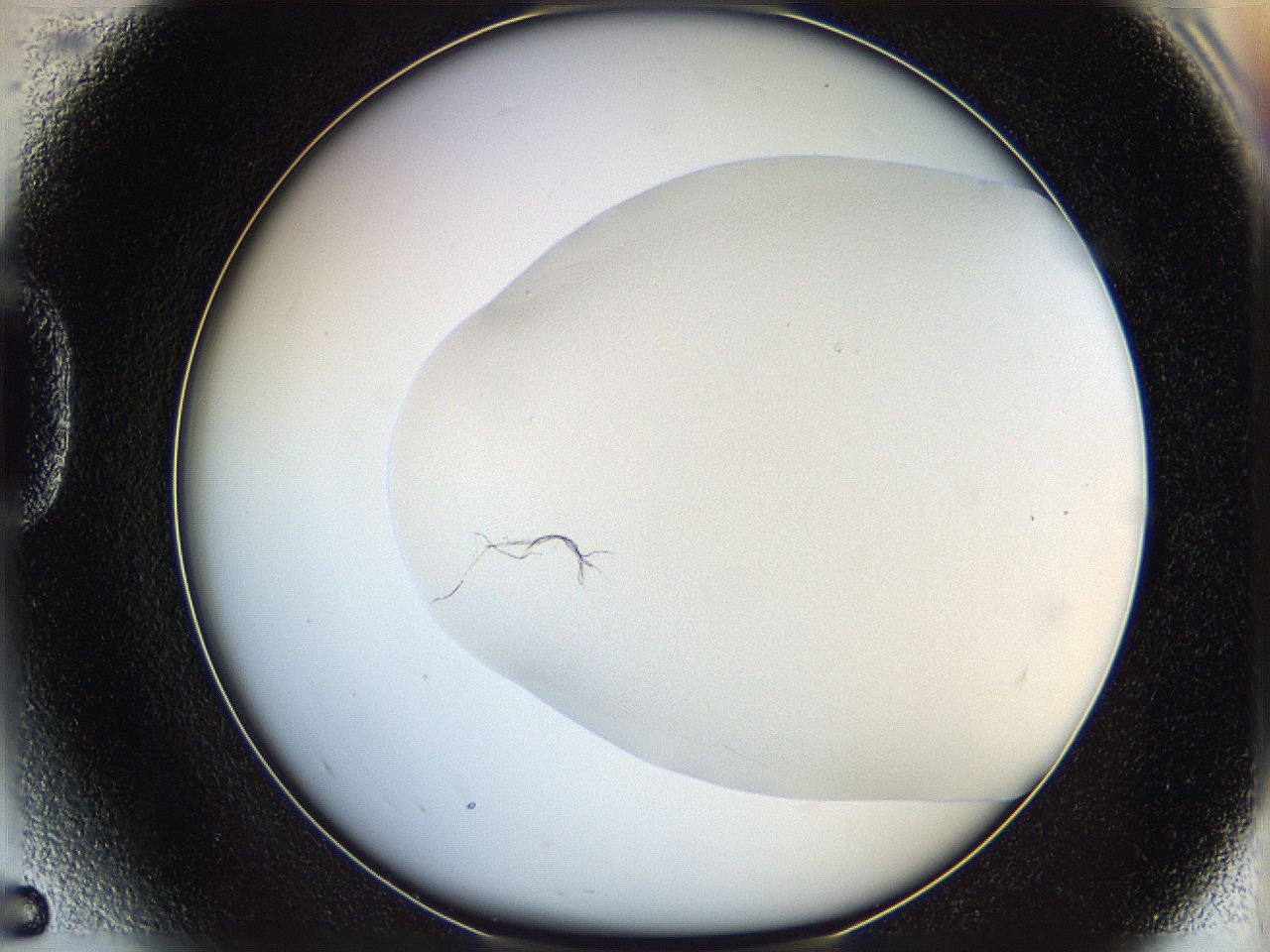 06bp_D5_ImagerDefaults_0.jpg