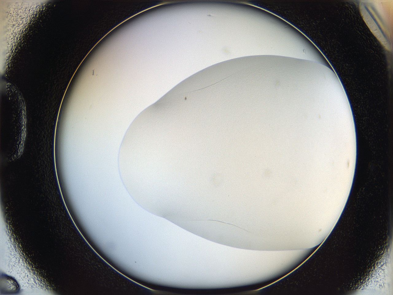 06bp_D6_ImagerDefaults_0.jpg