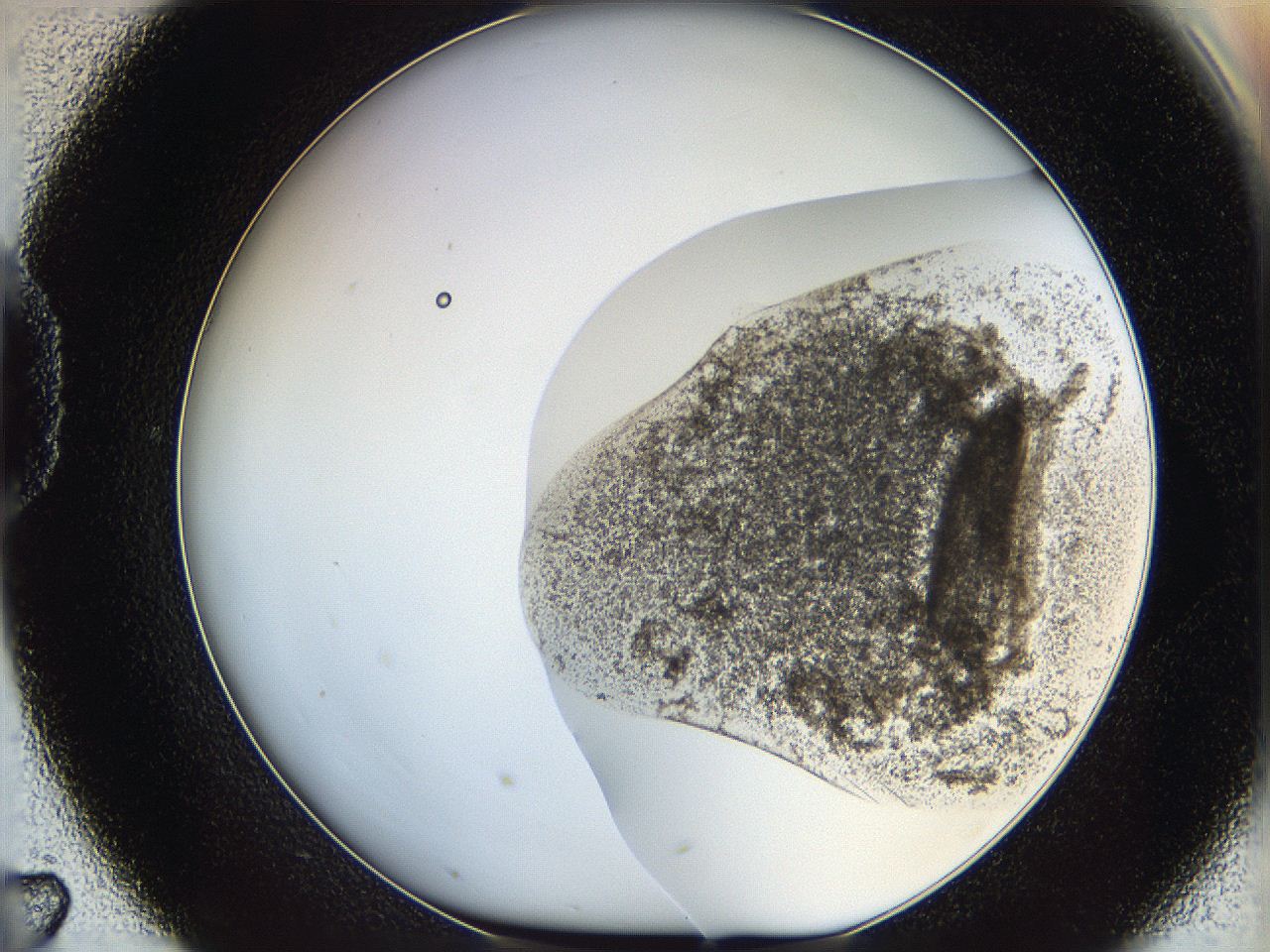 06bp_D7_ImagerDefaults_3.jpg