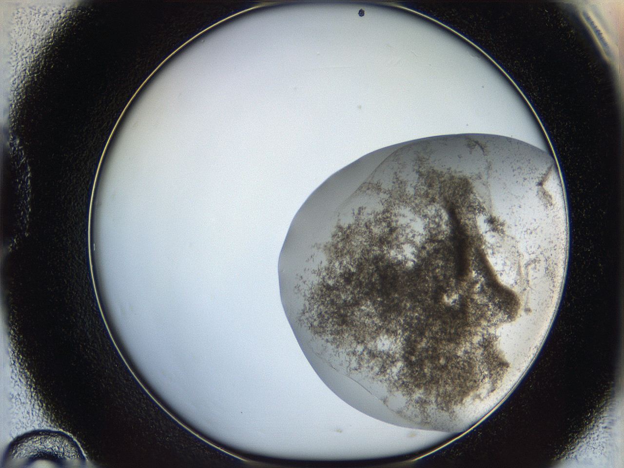 06bp_D10_ImagerDefaults_3.jpg