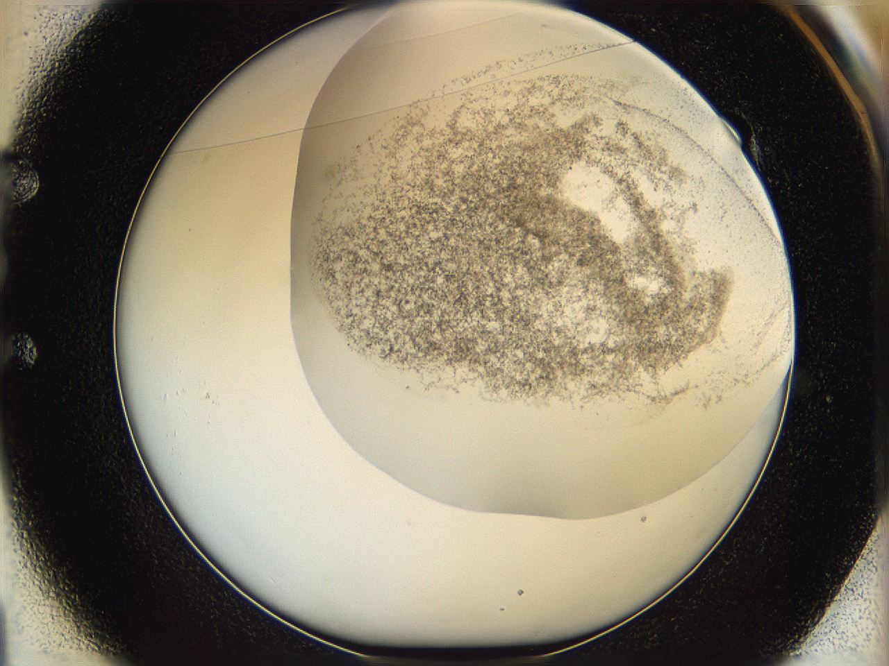 06bp_E1_ImagerDefaults_3.jpg