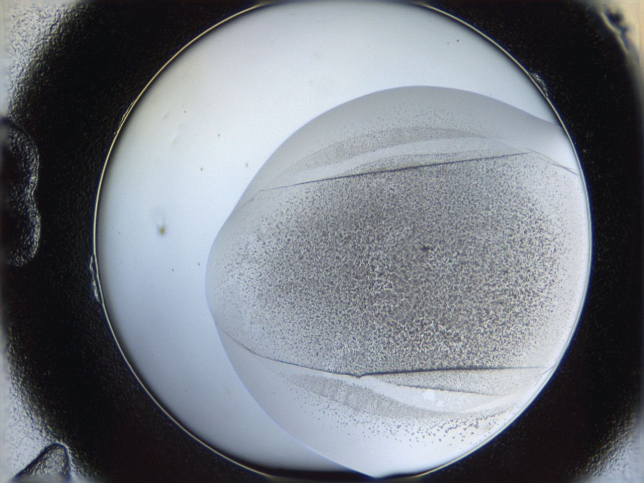 06bp_B11_ImagerDefaults_2.jpg