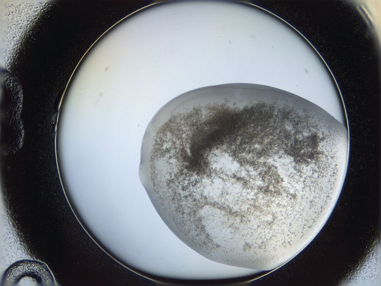 06bp_B10_ImagerDefaults_3.jpg